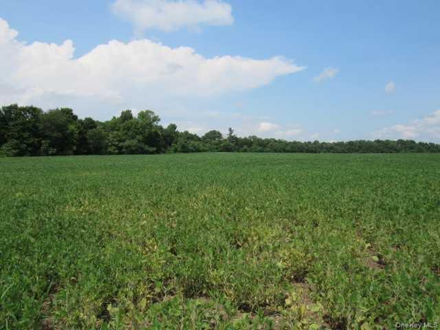 COUNTY ROAD 19, Germantown, NY 12523