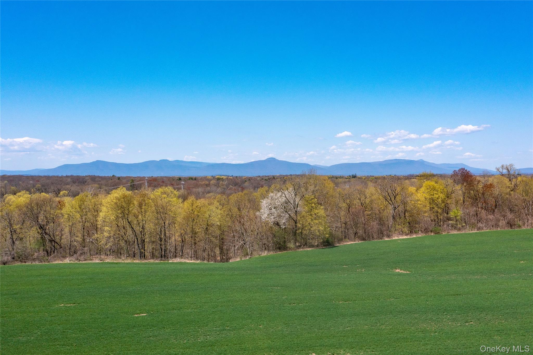 COUNTY ROAD 19, Germantown, NY 12523