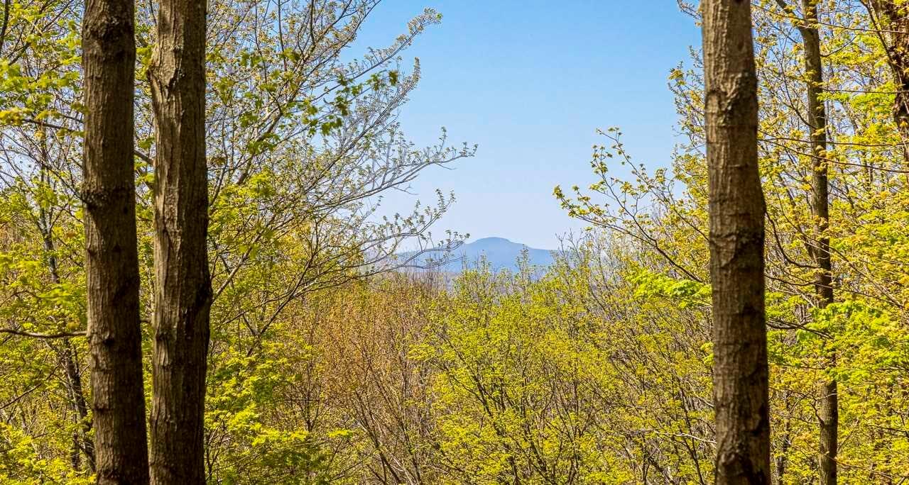 0 VERBANK Road, Millbrook, NY 12545