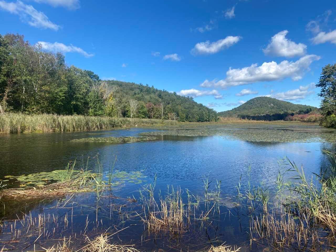 Bog Hollow Road, Wassaic, NY 12501