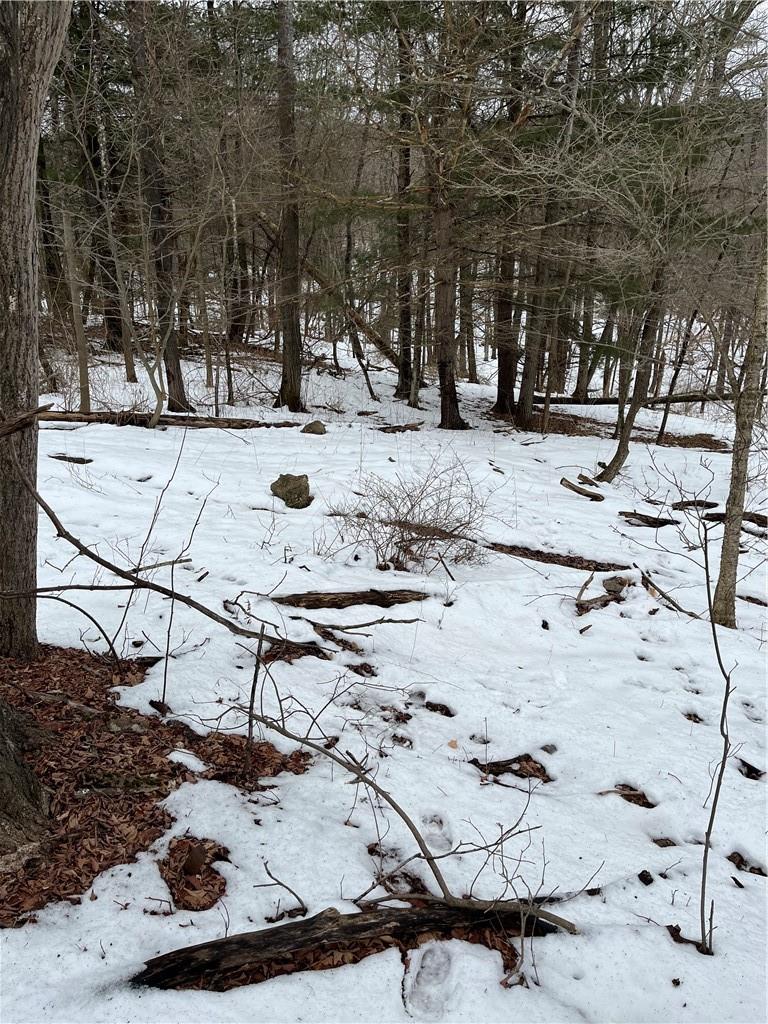 Co Hwy 53, Fallsburg, NY 12733