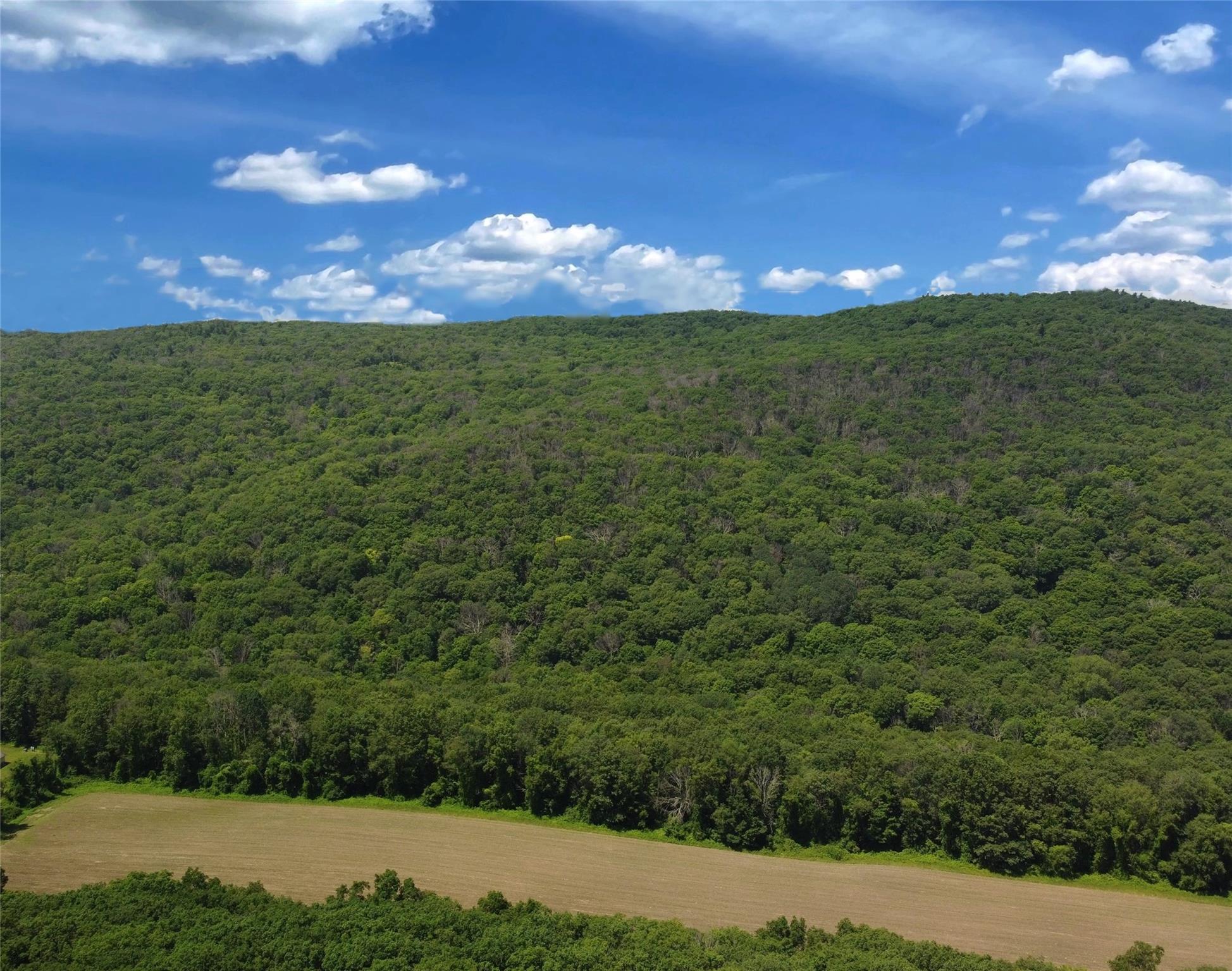 PERRYS CORNERS Road, Amenia, NY 12501