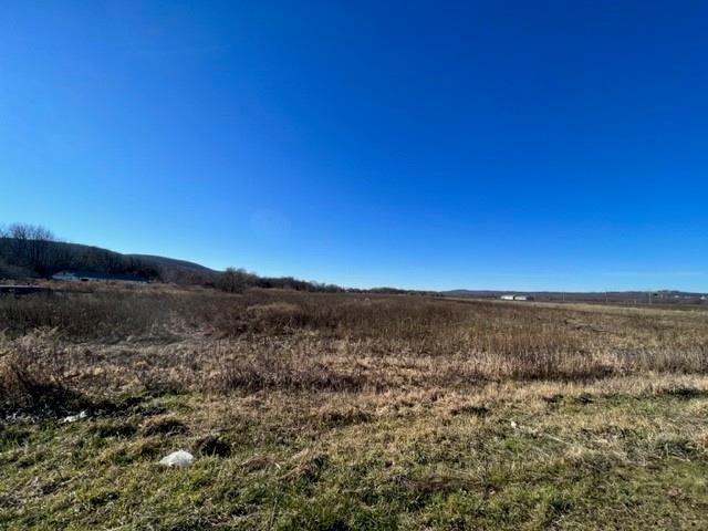 41 Bierstine Lane, Pine Island, NY 10969