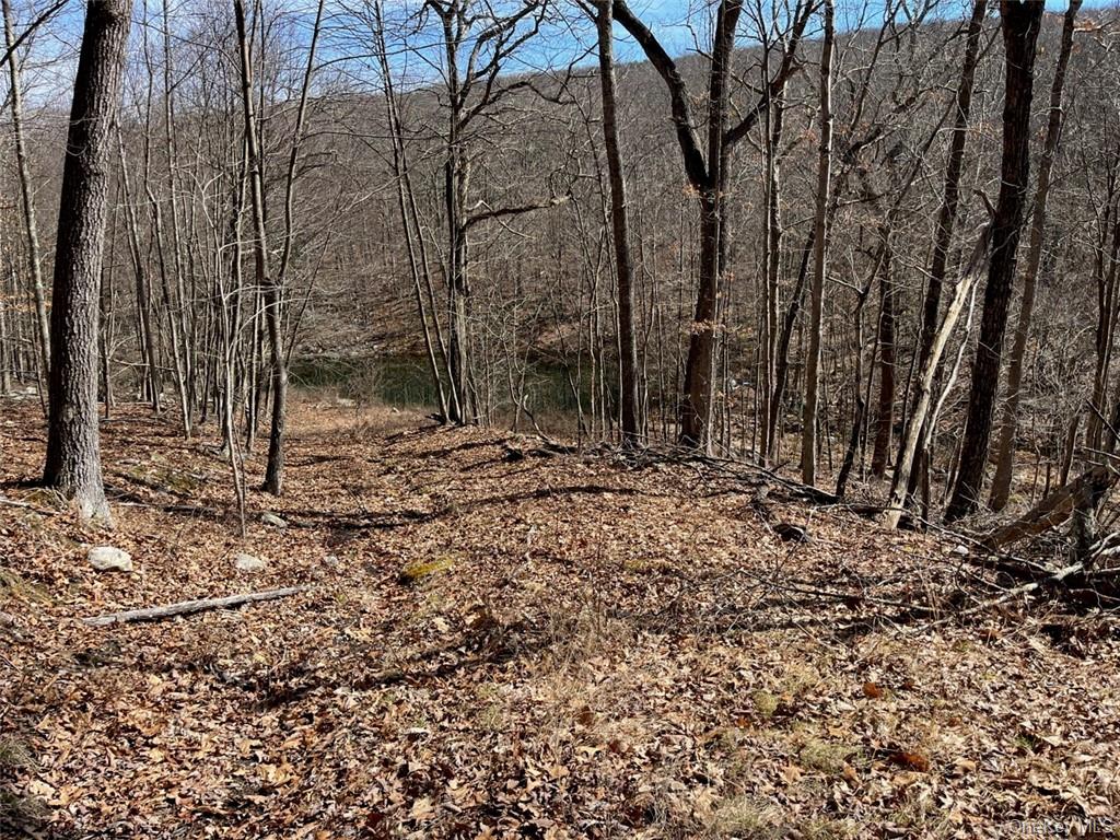 2215 Greenville Turnpike, Port Jervis, NY 12771