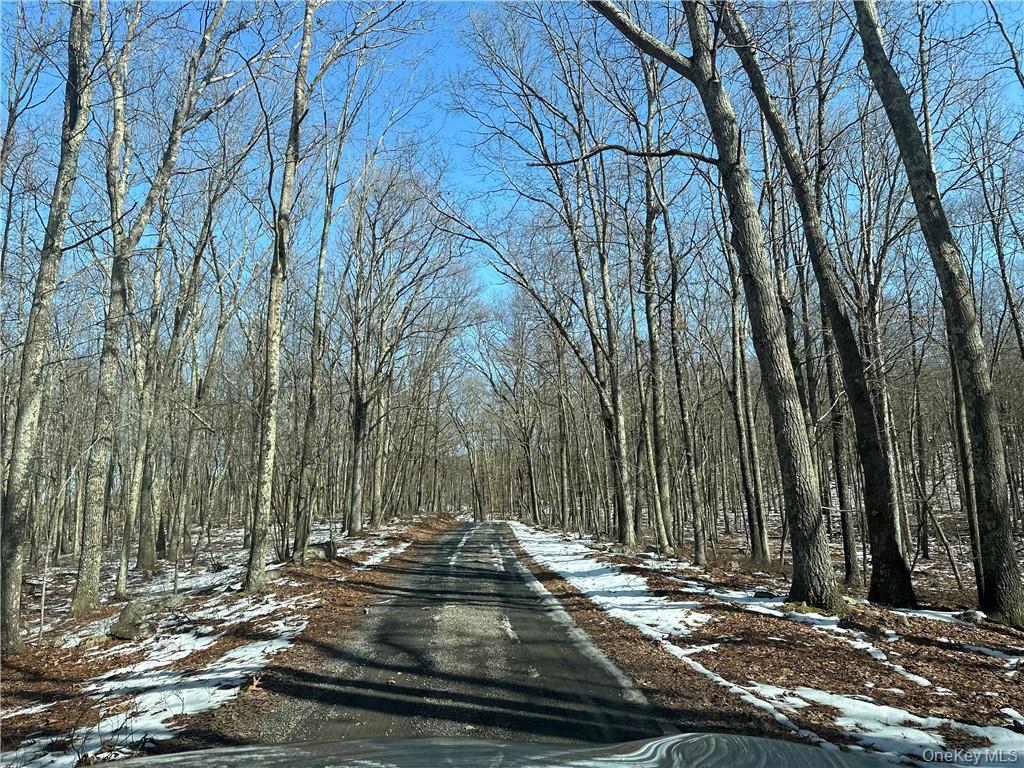 2215 Greenville Turnpike, Port Jervis, NY 12771