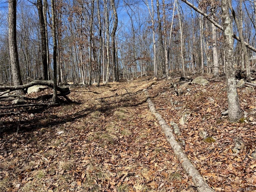 Greenville Turnpike, Port Jervis, NY 12771