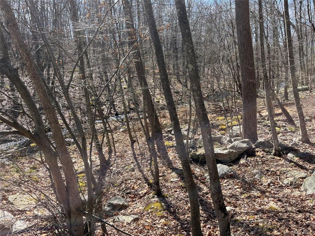 Greenville Turnpike, Port Jervis, NY 12771