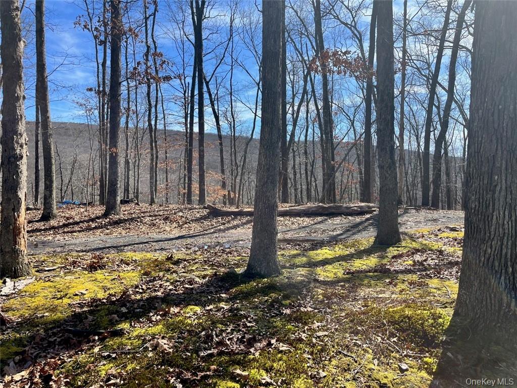 Greenville Turnpike, Port Jervis, NY 12771