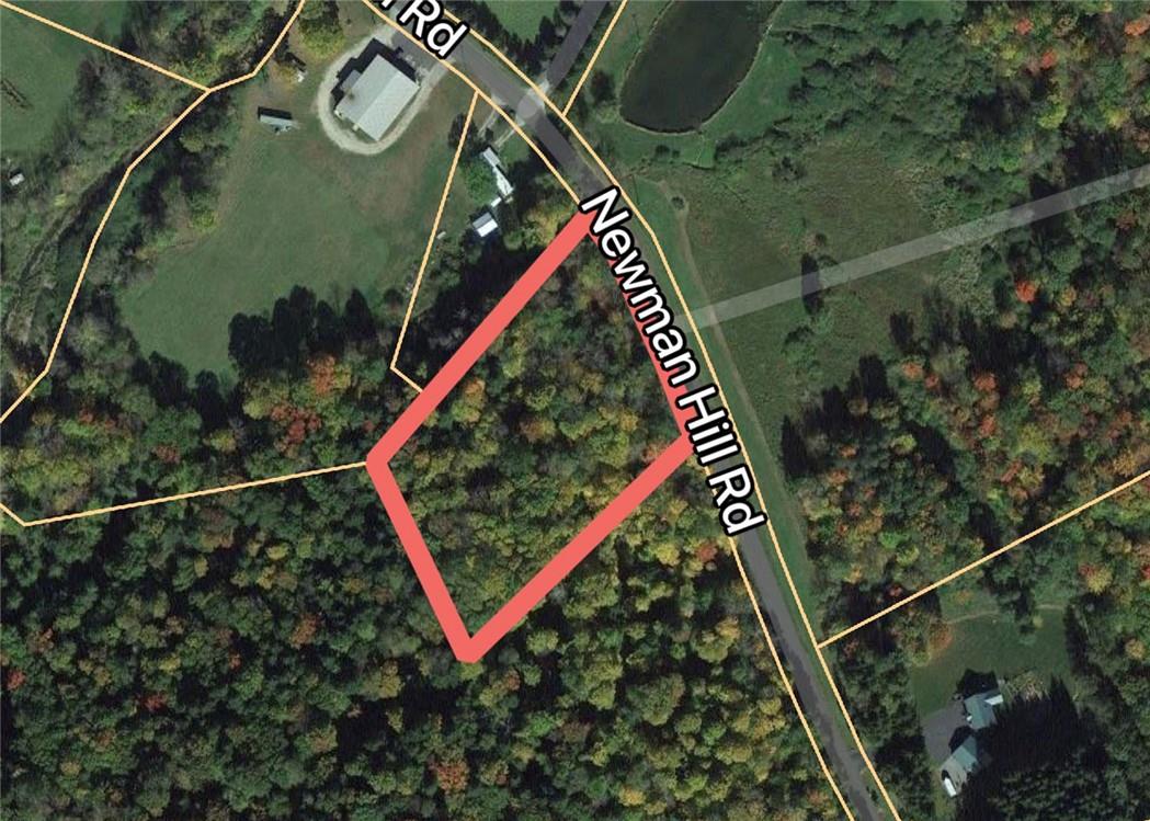 0 Newman Hill Road, Hankins, NY 12741