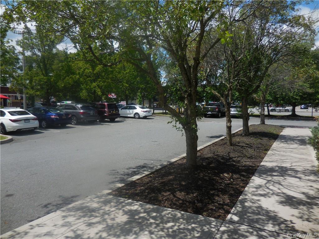 356 Meadow Avenue # 102, Newburgh, NY 12550