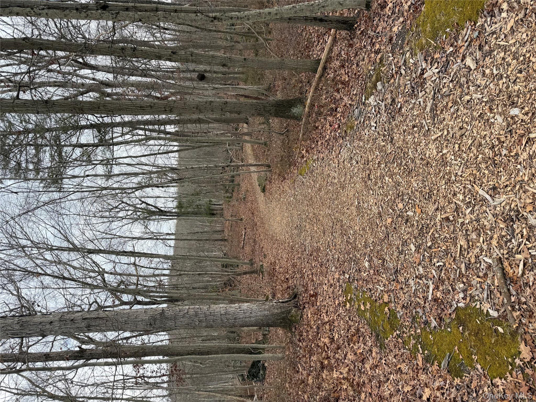 20 Deforest Drive, Cortlandt Manor, NY 10567