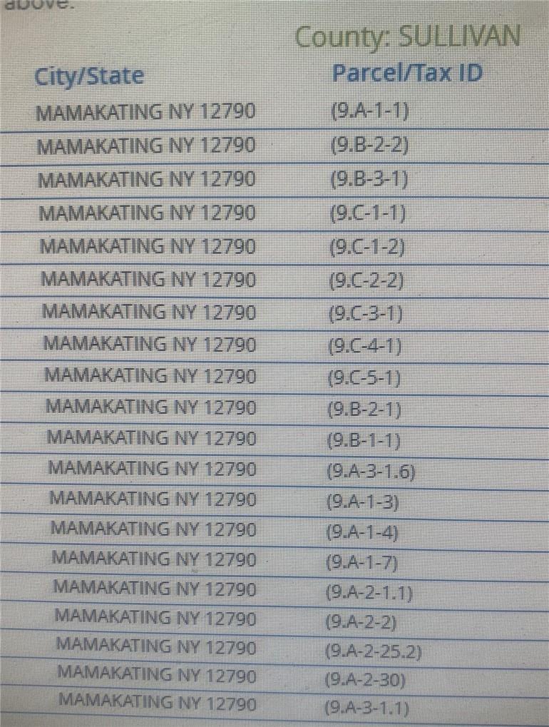 Roosa Gap Road, Wurtsboro, NY 12790