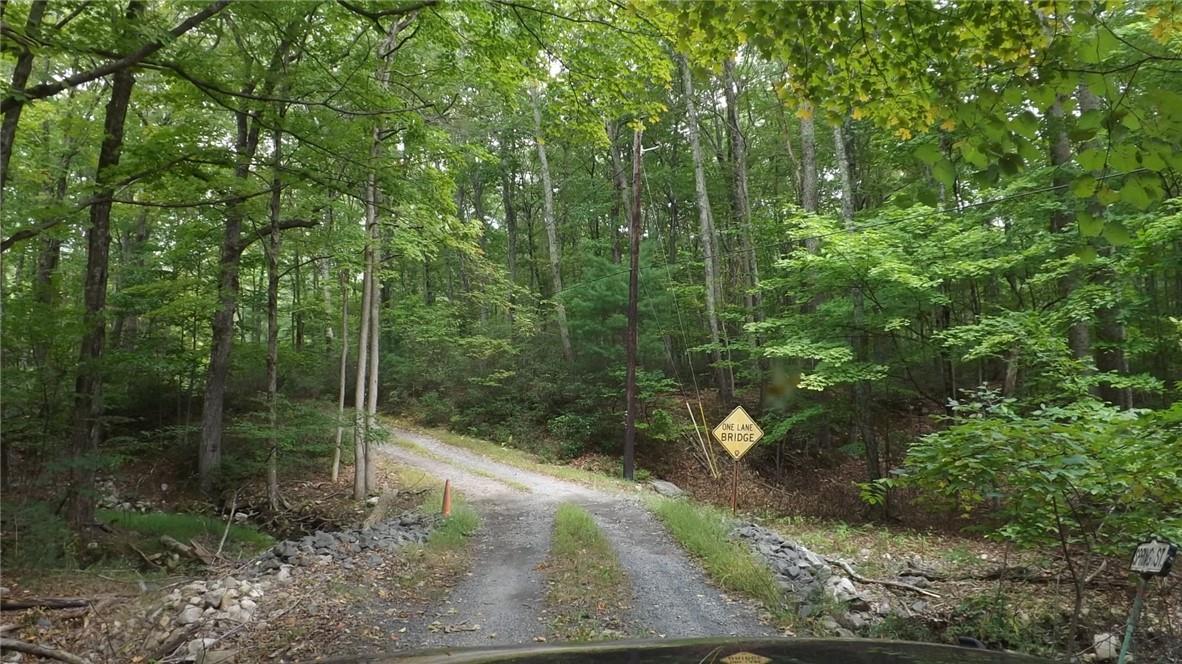Roosa Gap Road, Wurtsboro, NY 12790