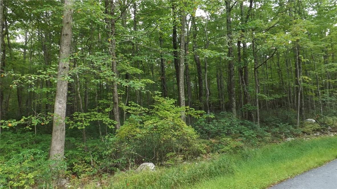 Roosa Gap Road, Wurtsboro, NY 12790
