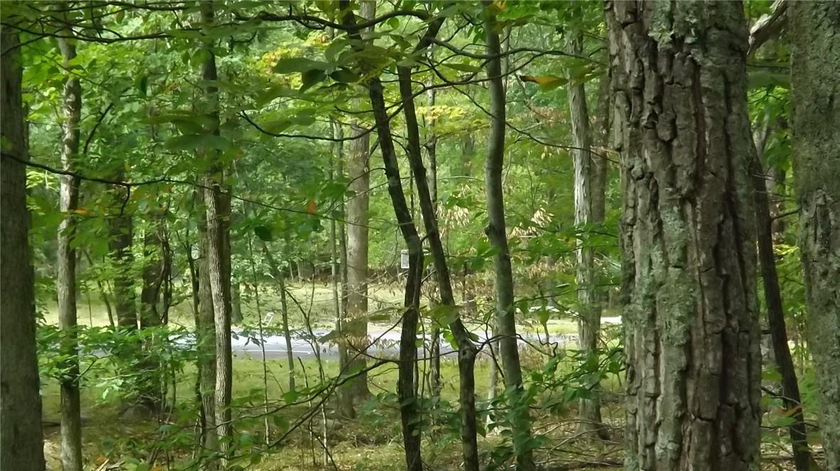 Roosa Gap Road, Wurtsboro, NY 12790