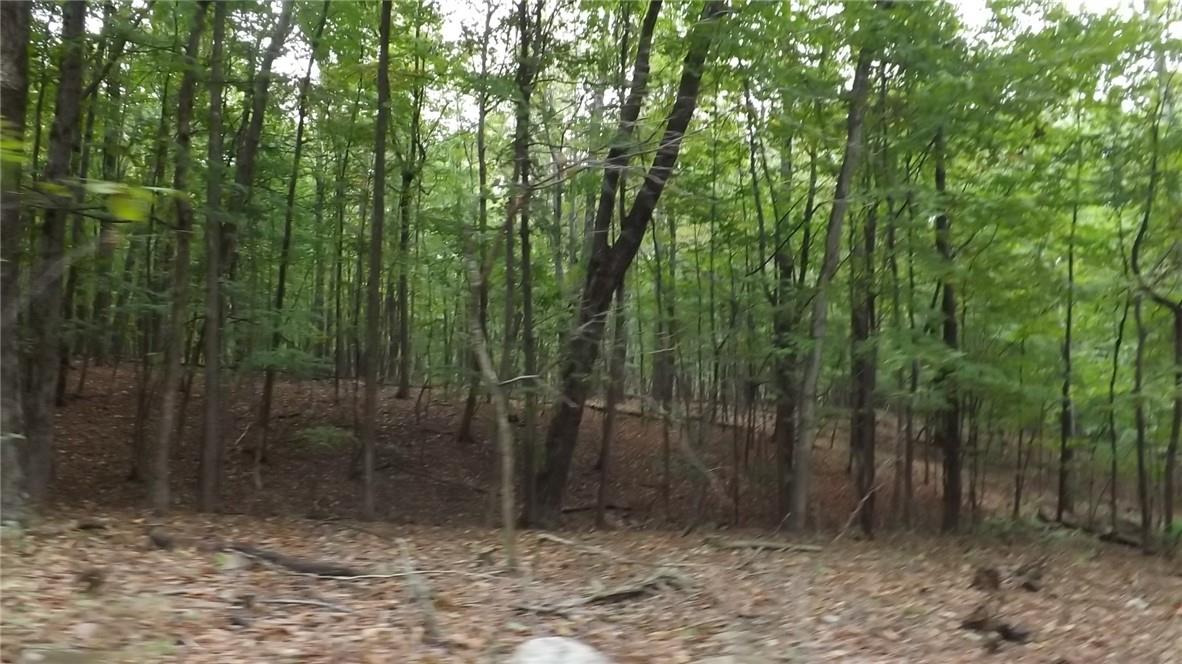 Roosa Gap Road, Wurtsboro, NY 12790