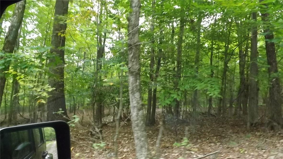 Roosa Gap Road, Wurtsboro, NY 12790