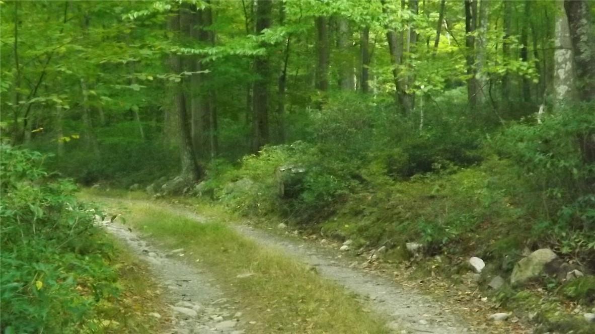 Roosa Gap Road, Wurtsboro, NY 12790