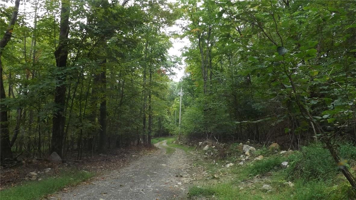 Roosa Gap Road, Wurtsboro, NY 12790