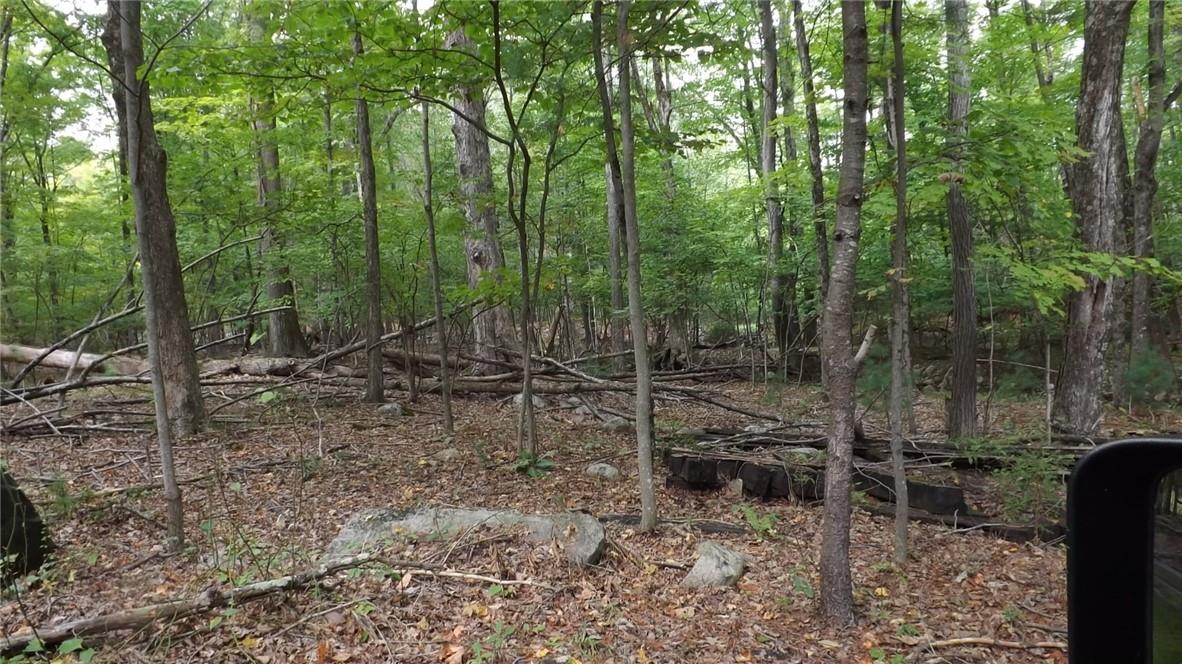Roosa Gap Road, Wurtsboro, NY 12790
