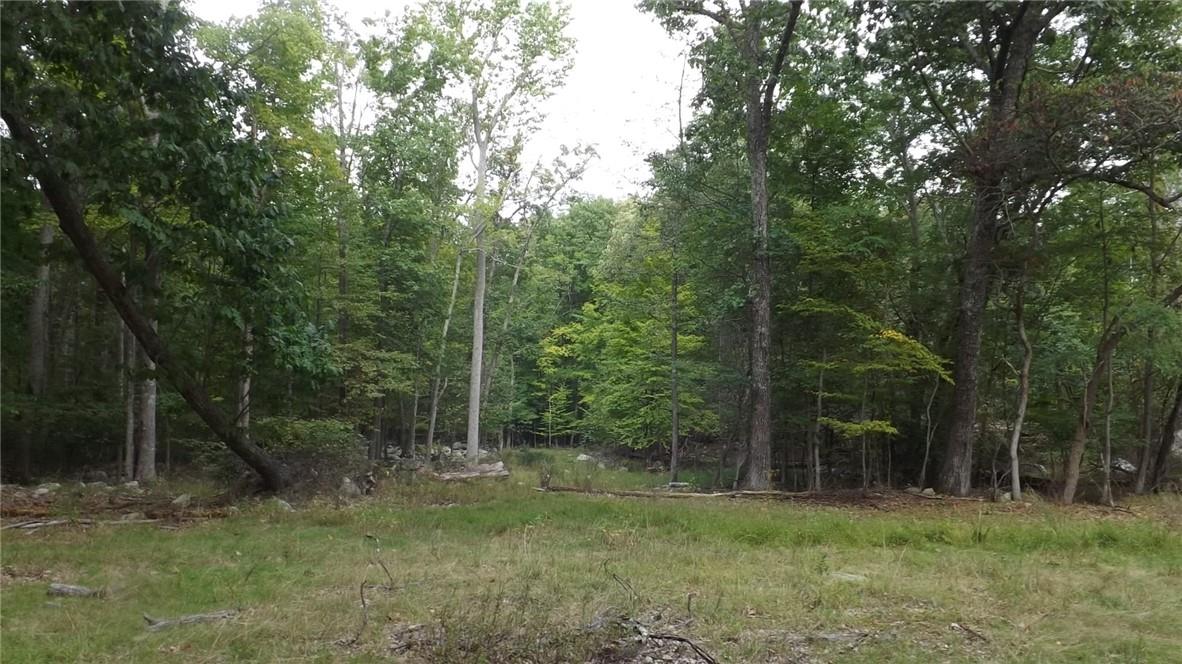 Roosa Gap Road, Wurtsboro, NY 12790