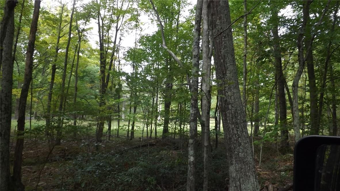 Roosa Gap Road, Wurtsboro, NY 12790