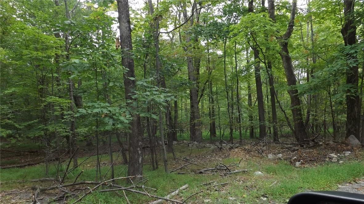 Roosa Gap Road, Wurtsboro, NY 12790