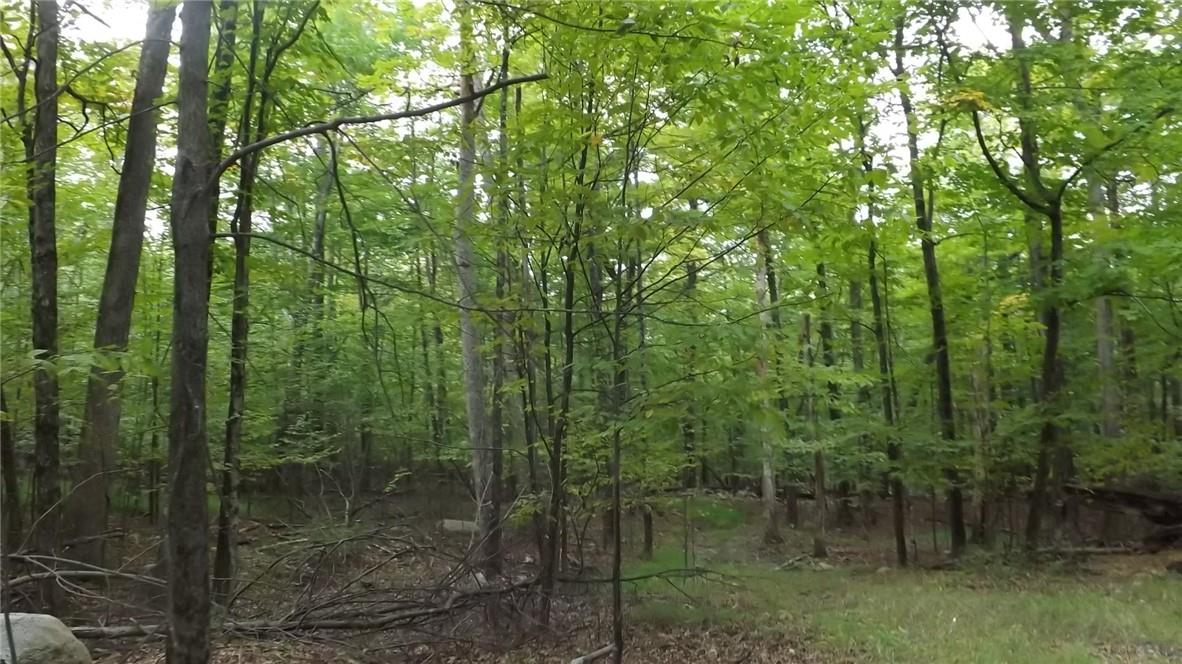Roosa Gap Road, Wurtsboro, NY 12790