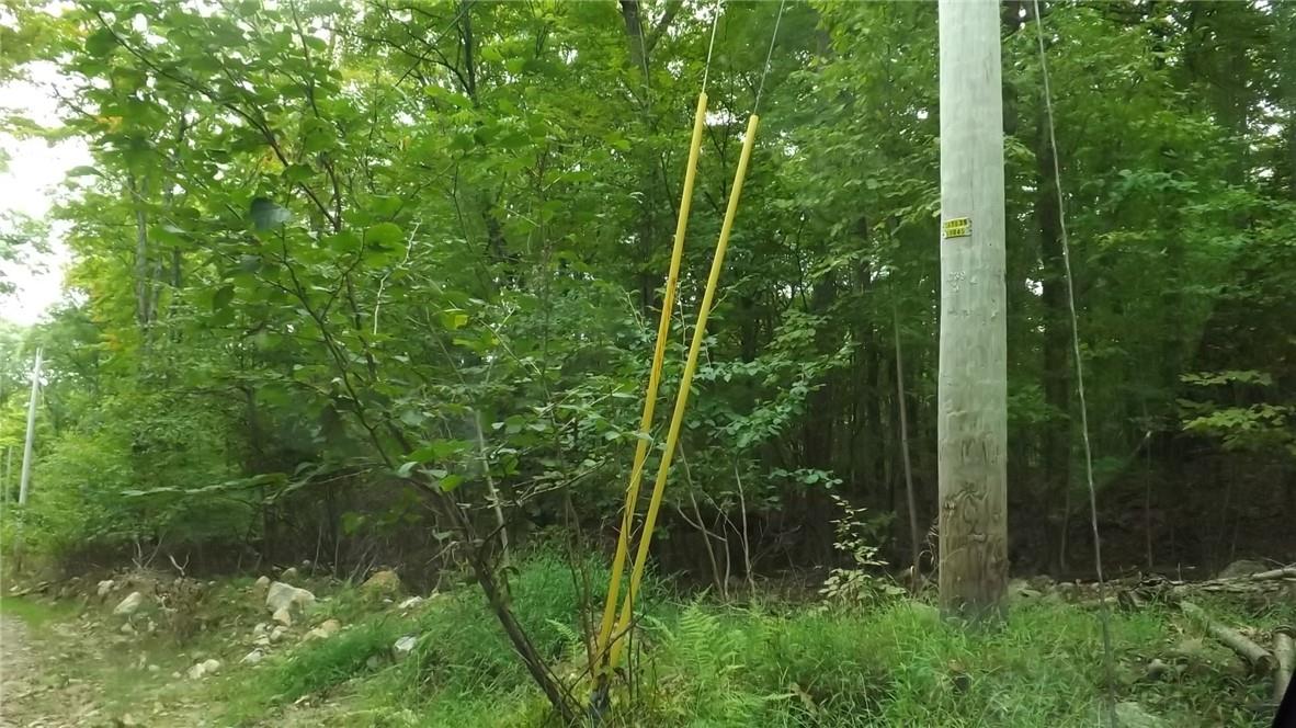 Roosa Gap Road, Wurtsboro, NY 12790