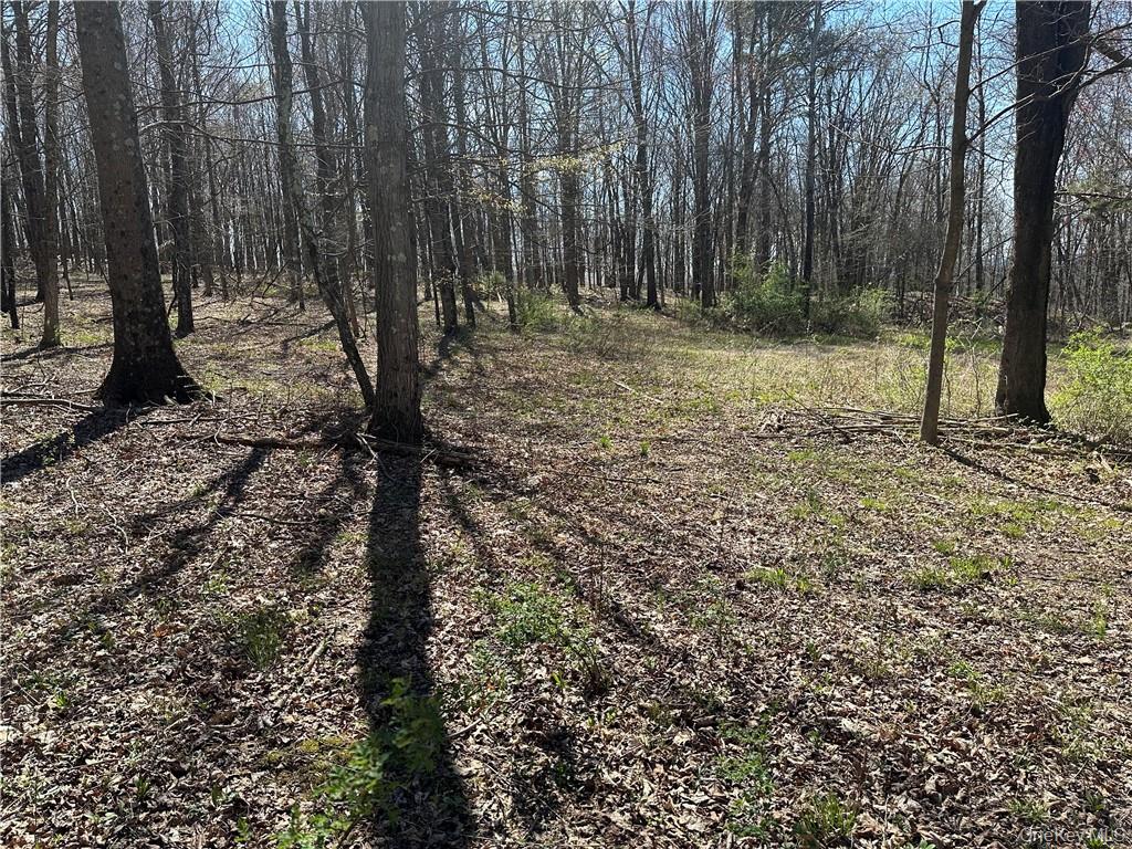 Cronk Road, Wallkill, NY 12589