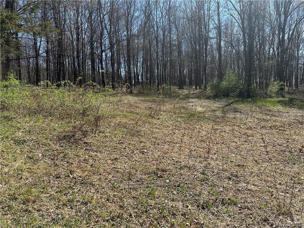 Cronk Road, Wallkill, NY 12589