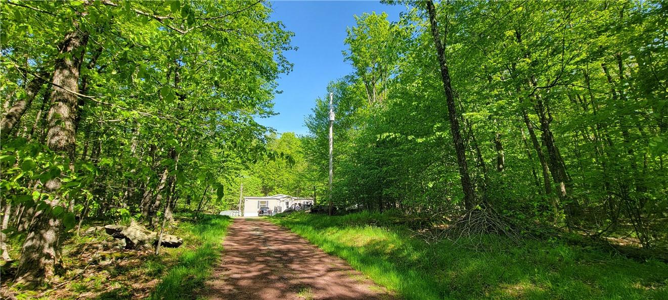 27 Birch Lane, Livingston Manor, NY 12768