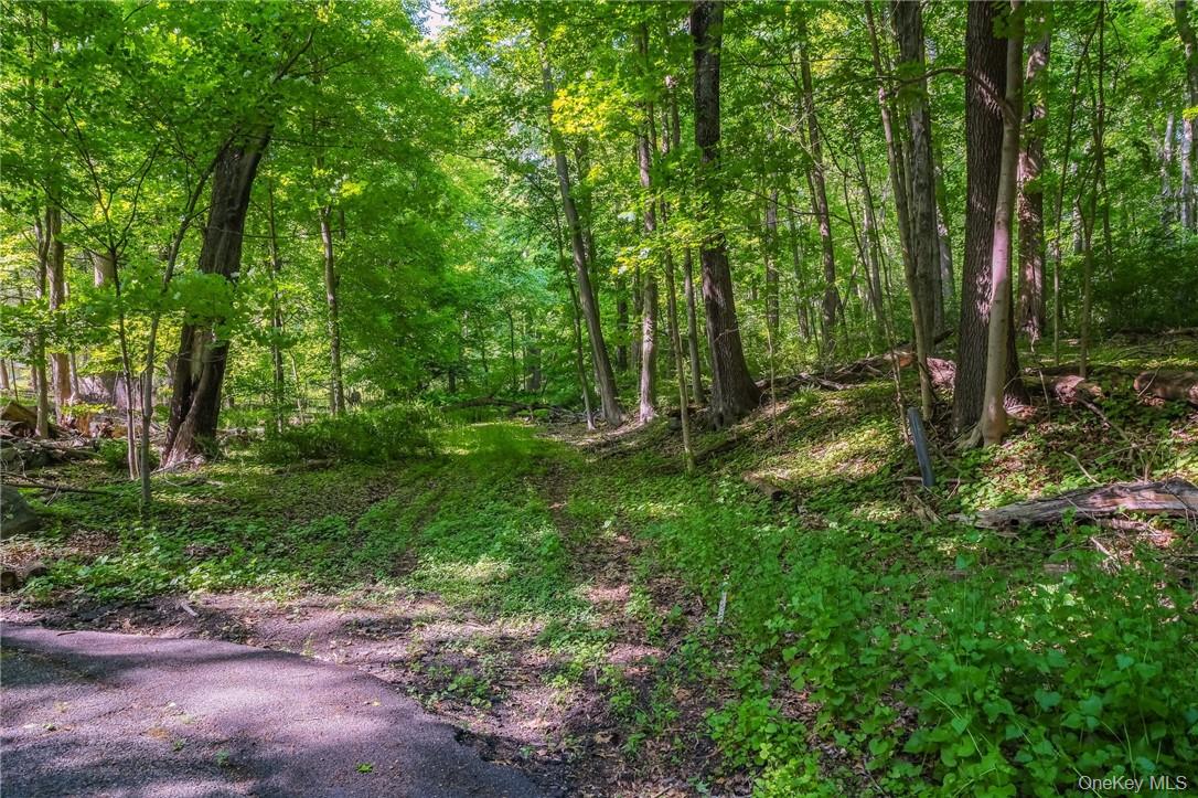 3 Route 100, Katonah, NY 10536