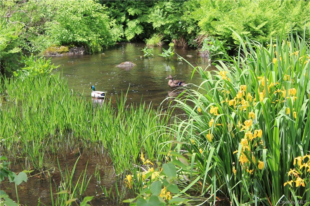 Rolling Meadow Lane, Pound Ridge, NY 10576