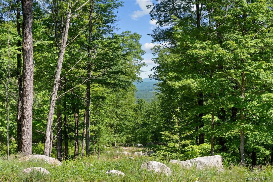 121 Sheldon Road, Gardiner, NY 12525