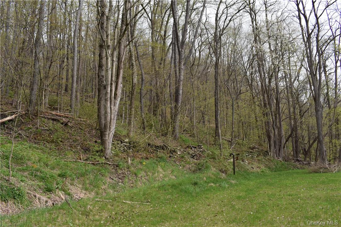 29735 State Highway 10, Walton, NY 13856