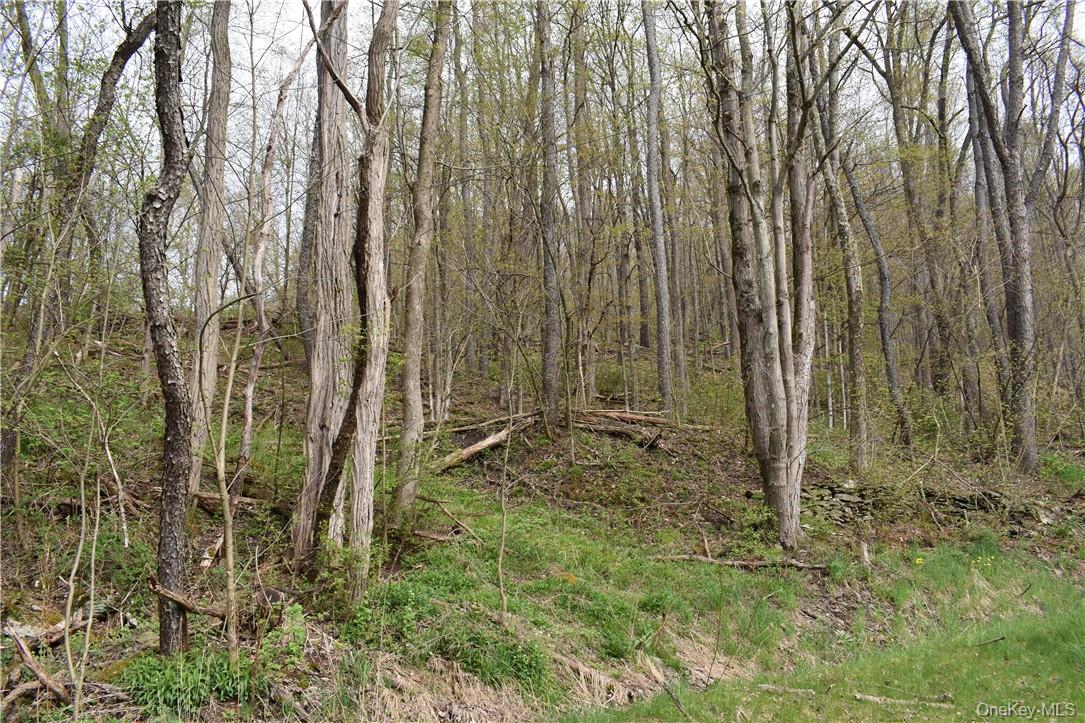 29735 State Highway 10, Walton, NY 13856