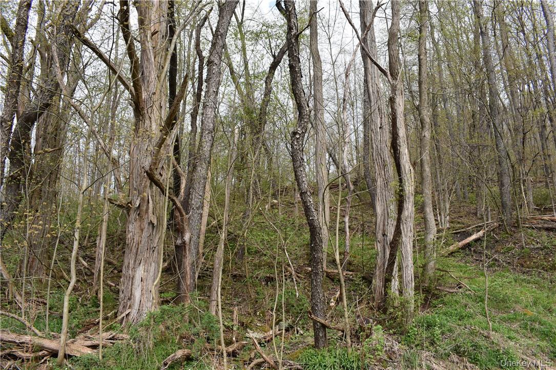 29735 State Highway 10, Walton, NY 13856