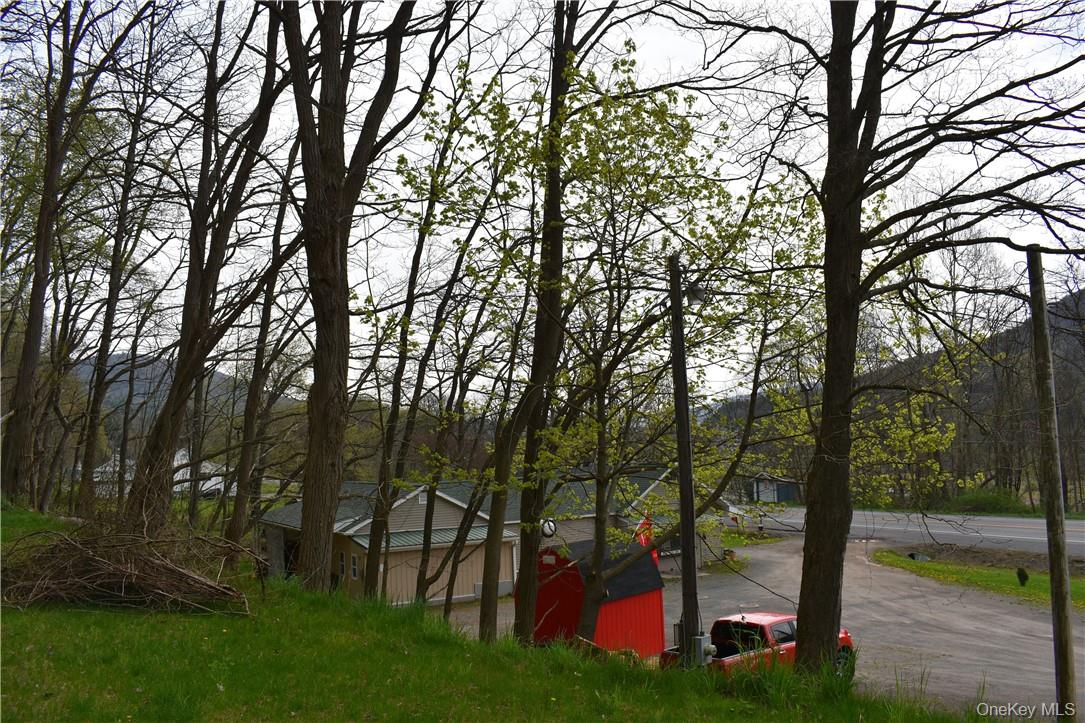 29735 State Highway 10, Walton, NY 13856