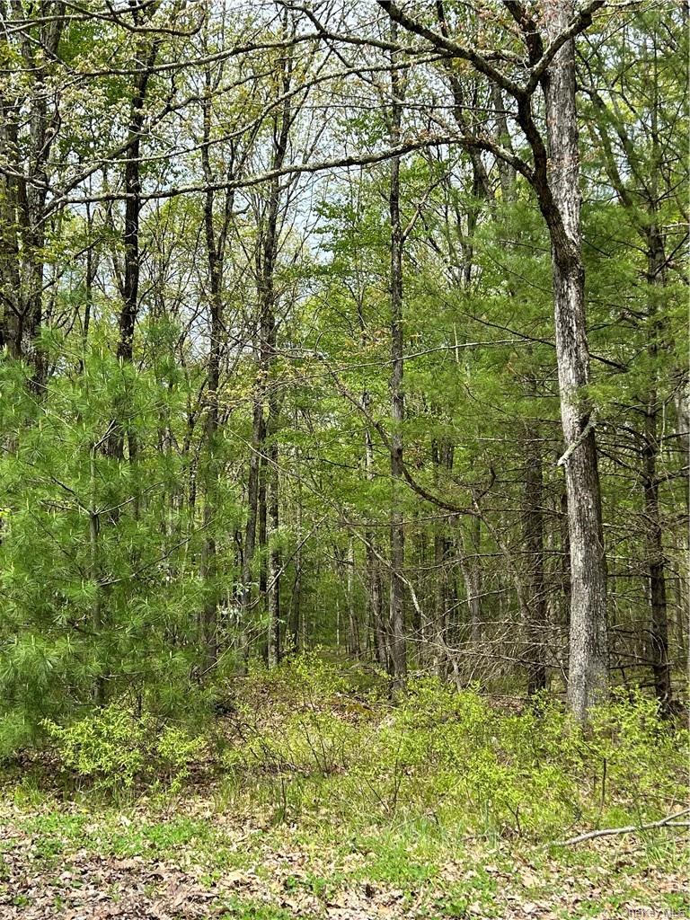 Split Rock Drive, Barryville, NY 12719