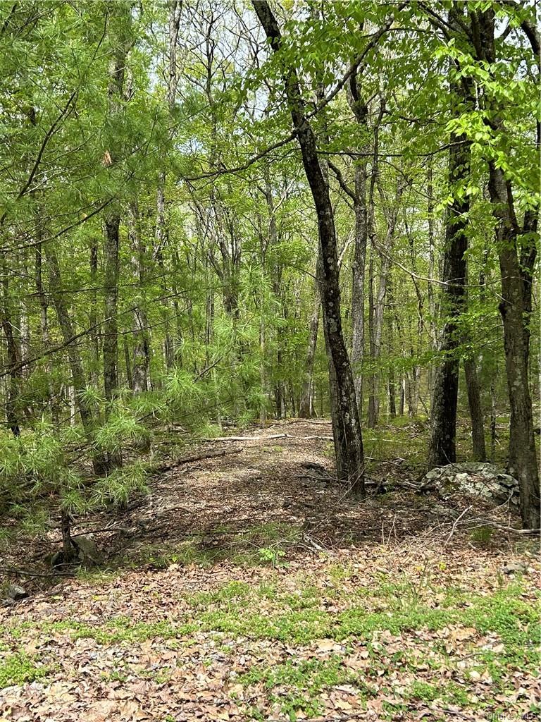 Split Rock Drive, Barryville, NY 12719