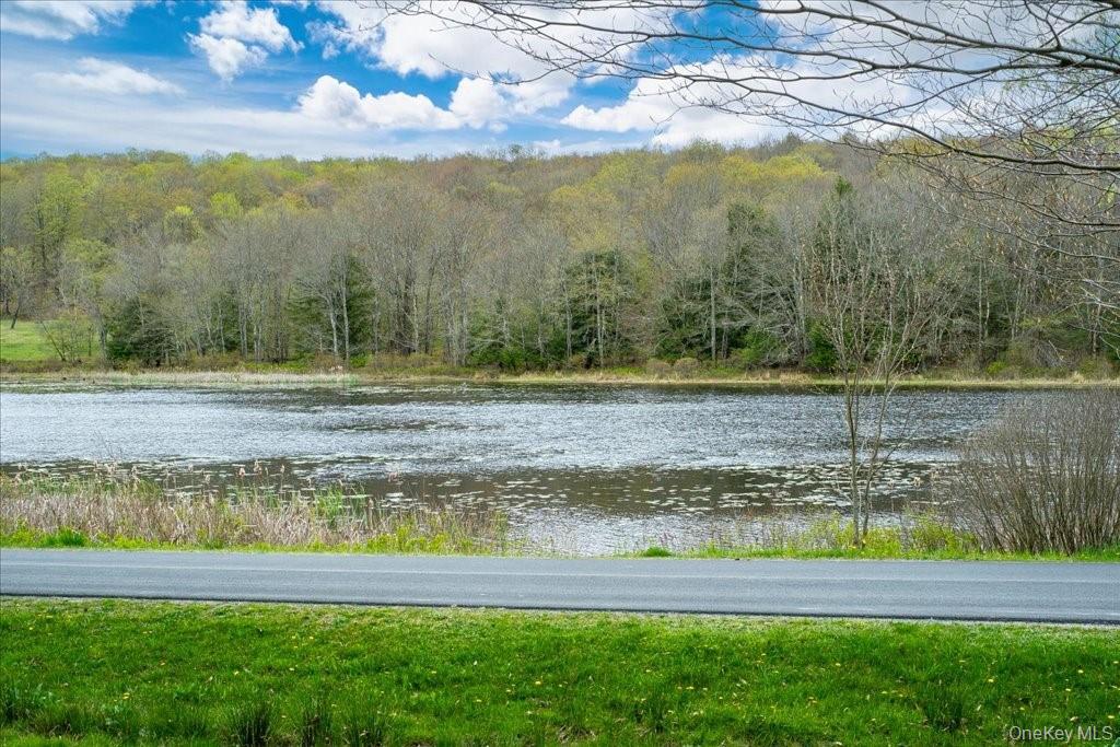 307 Beaver Lake Road, Livingston Manor, NY 12758