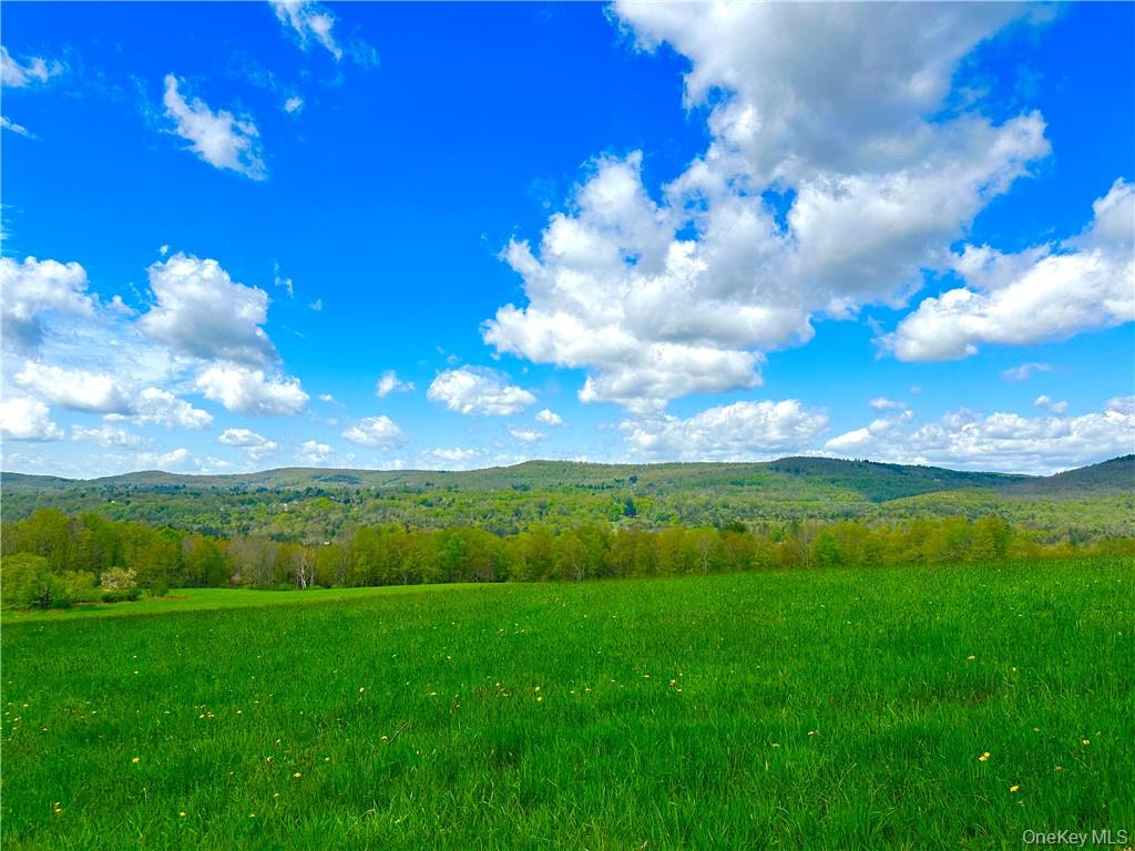 6049 State Route 55, Liberty, NY 12754