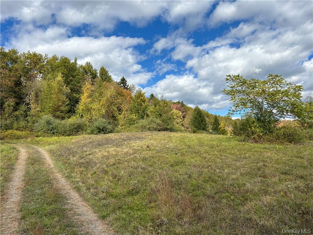 County rte. 7, Ancram, NY 12567