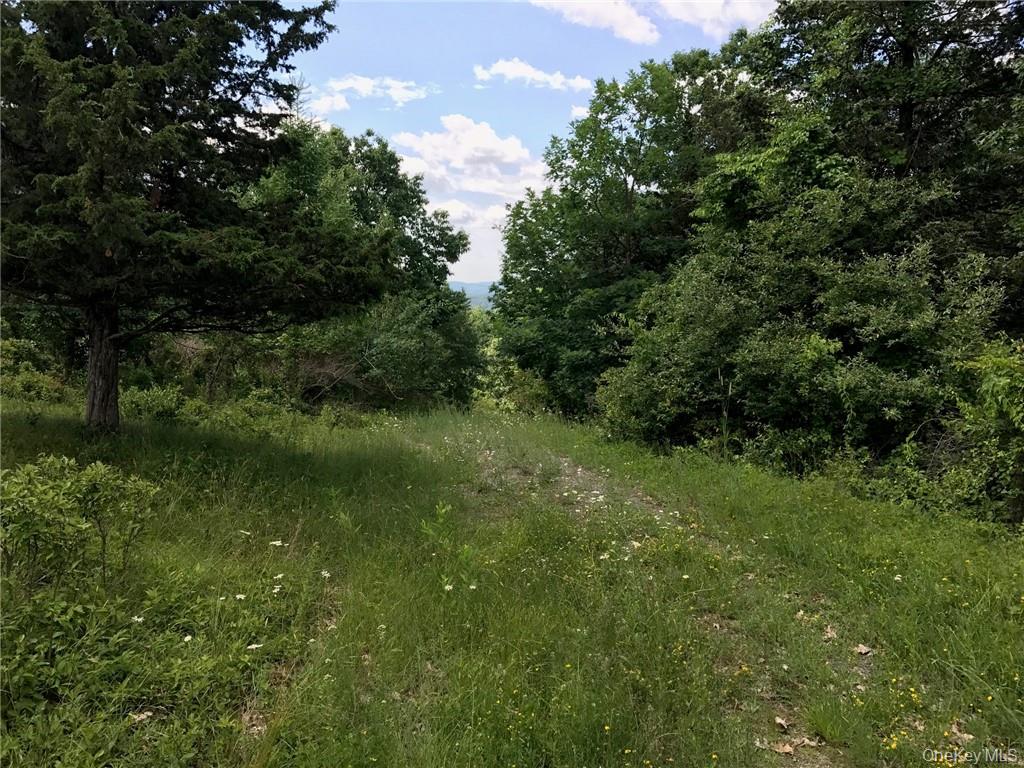 County rte. 7, Ancram, NY 12567