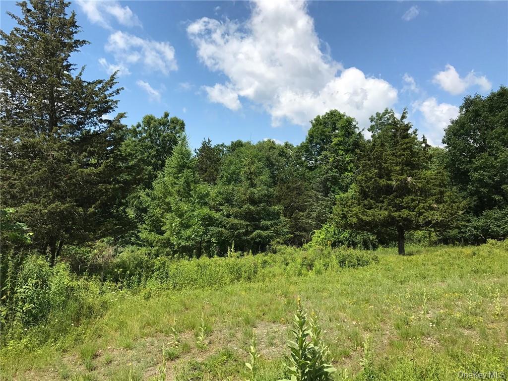 County rte. 7, Ancram, NY 12567