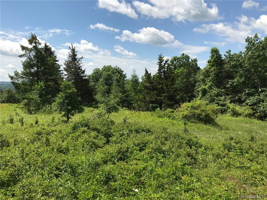 County rte. 7, Ancram, NY 12567