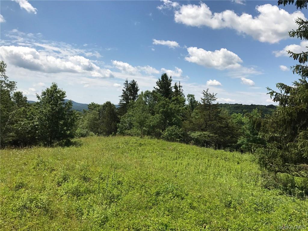 County rte. 7, Ancram, NY 12567