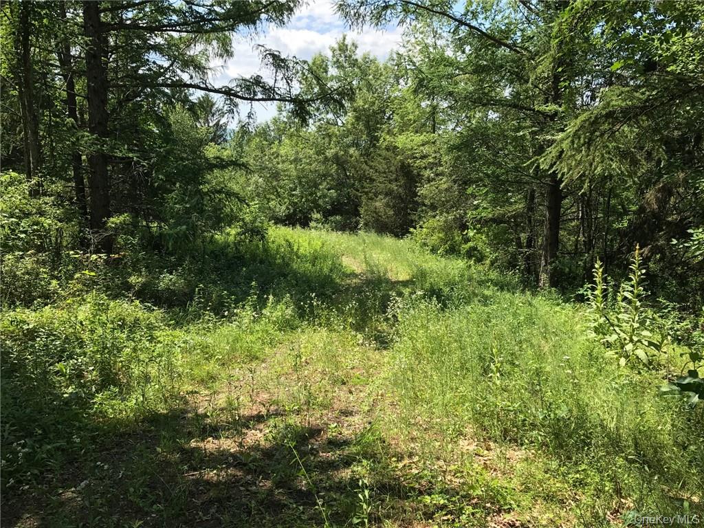 County rte. 7, Ancram, NY 12567