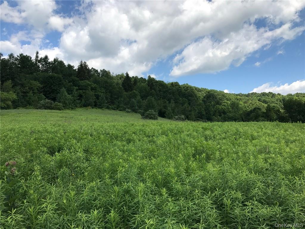 County rte. 7, Ancram, NY 12567